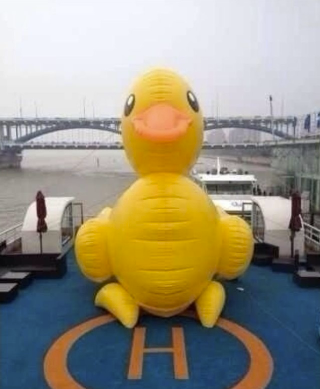 Illustration for article titled In China, There Are Too Many Giant Rubber Duck Rip-Offs